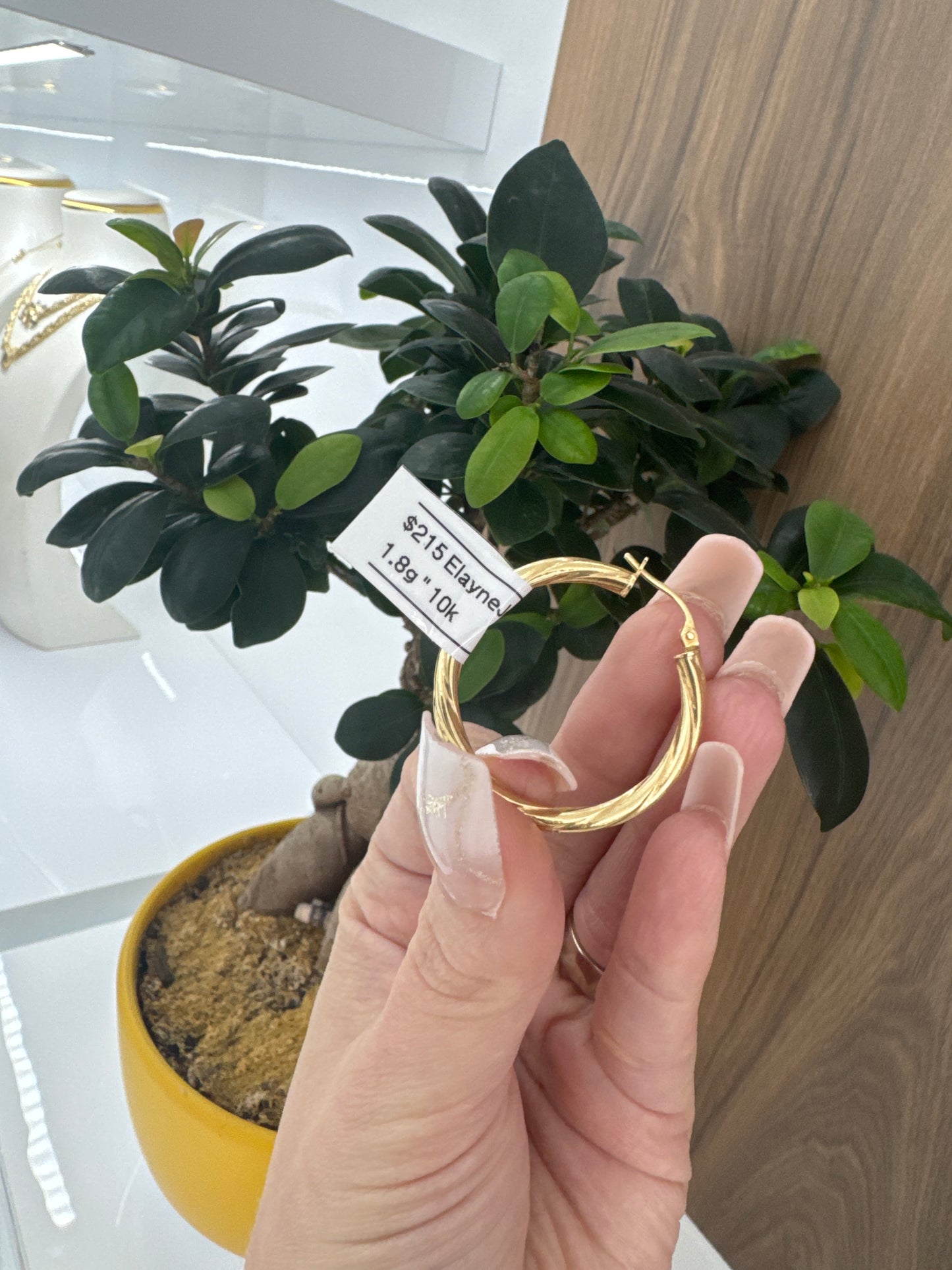 10K Argollas