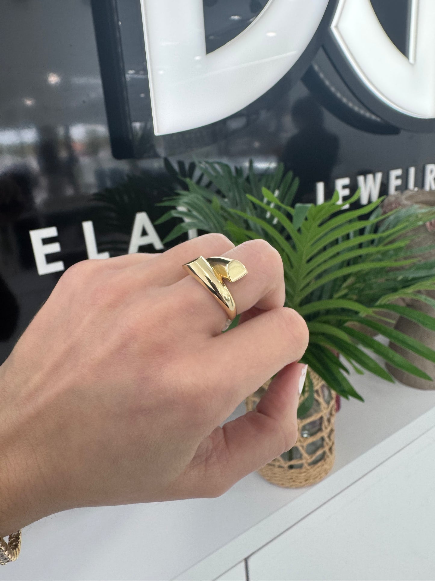 10K Liso Ring