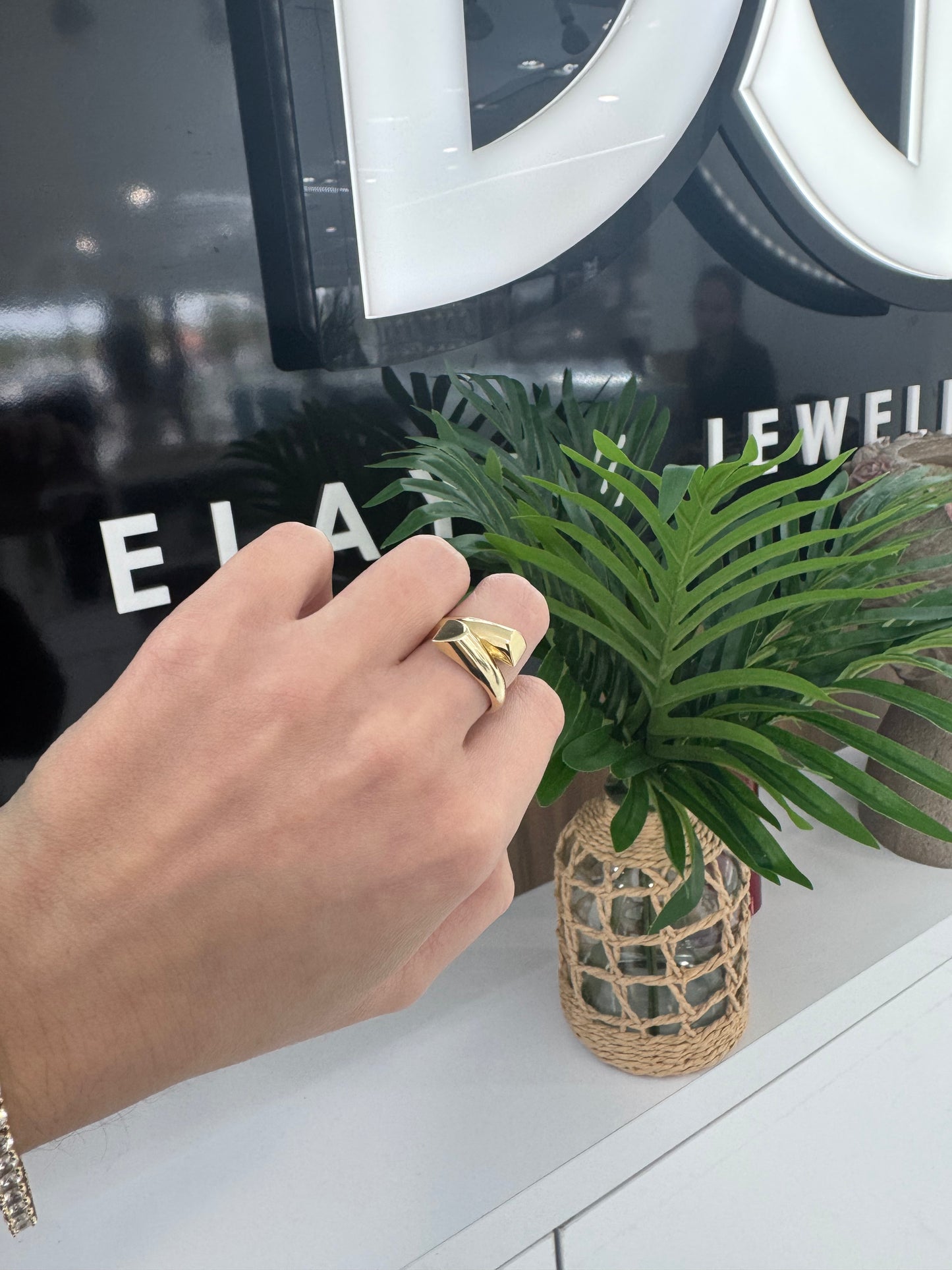 10K Liso Ring