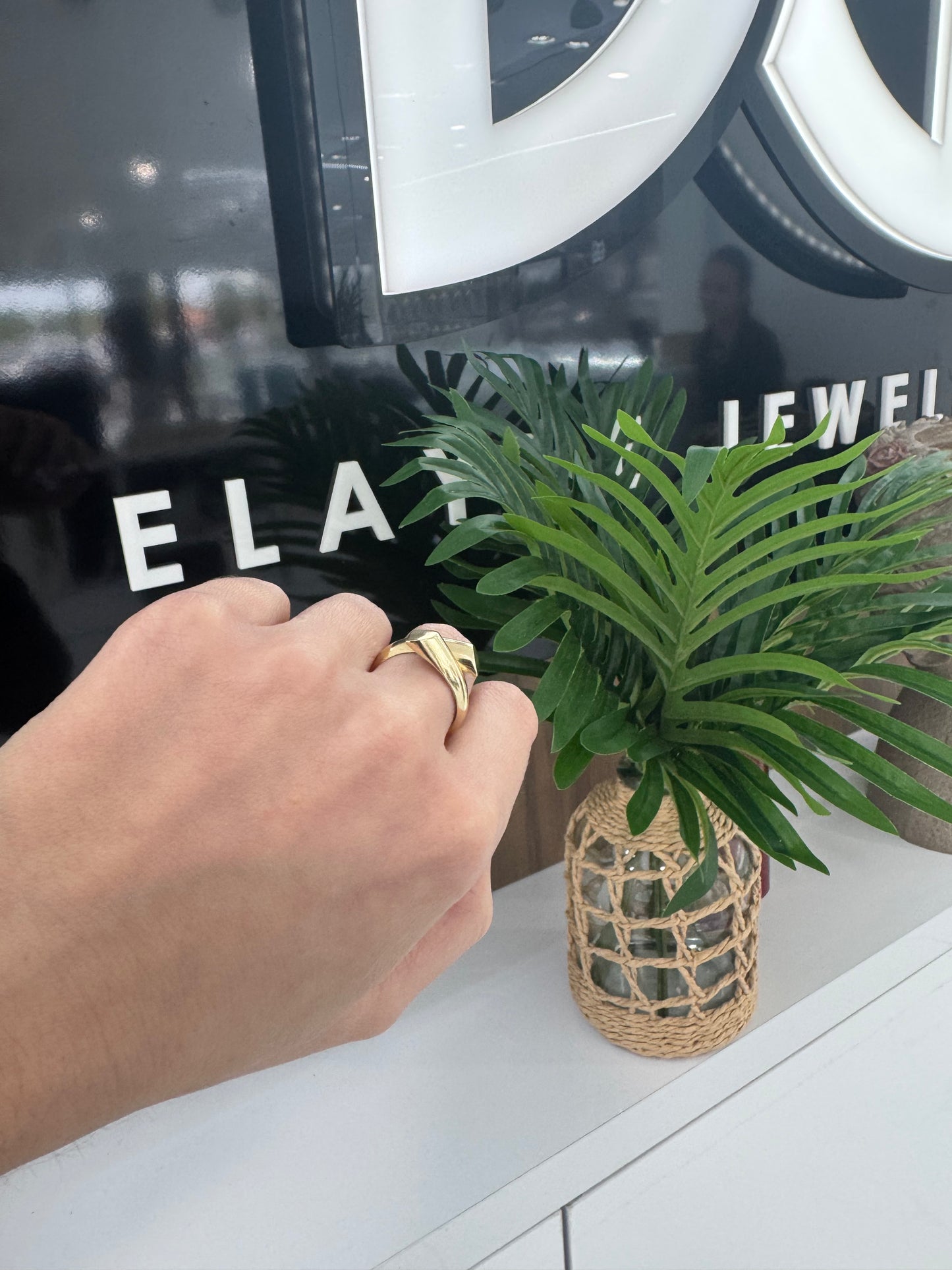 10K Liso Ring